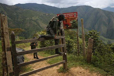 china gold digger industry|Focus: Gold diggers: Illegal mining near Colombian town hits Zijin .